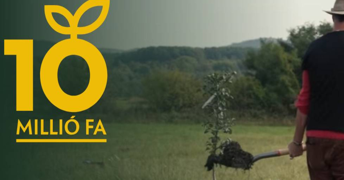 10 millió Fa: Életbevágó a fák locsolása