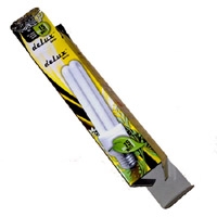 Energiatakarékos izzó papírdoboza