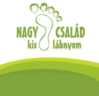 Energiatakarékossági verseny