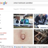 Emberi testrészek a hulladékok között