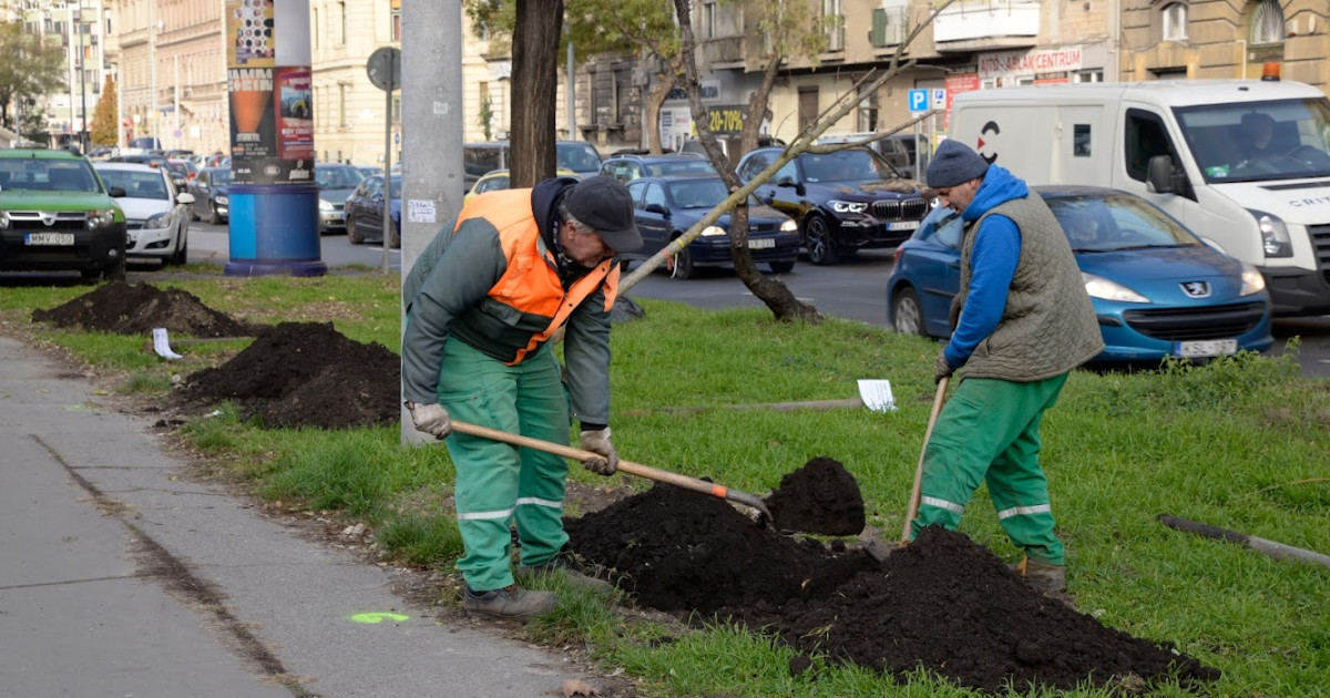 BKM FŐKERT Kertészeti Divízió 2023 évi főbb tervei