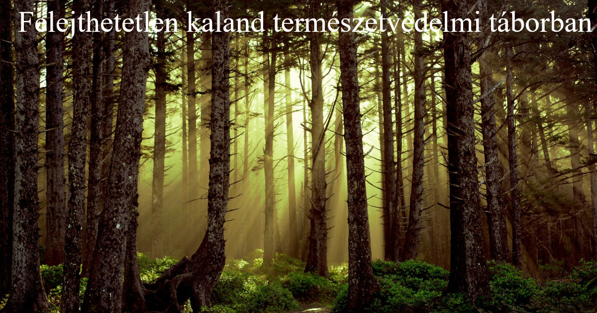 Felejthetetlen kaland természetvédelmi táborban