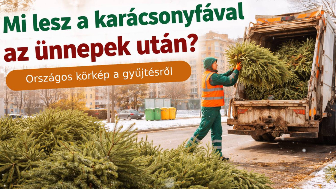 Karácsonyfa-gyűjtés és újrahasznosítás - Mi történik az ünnepek után?