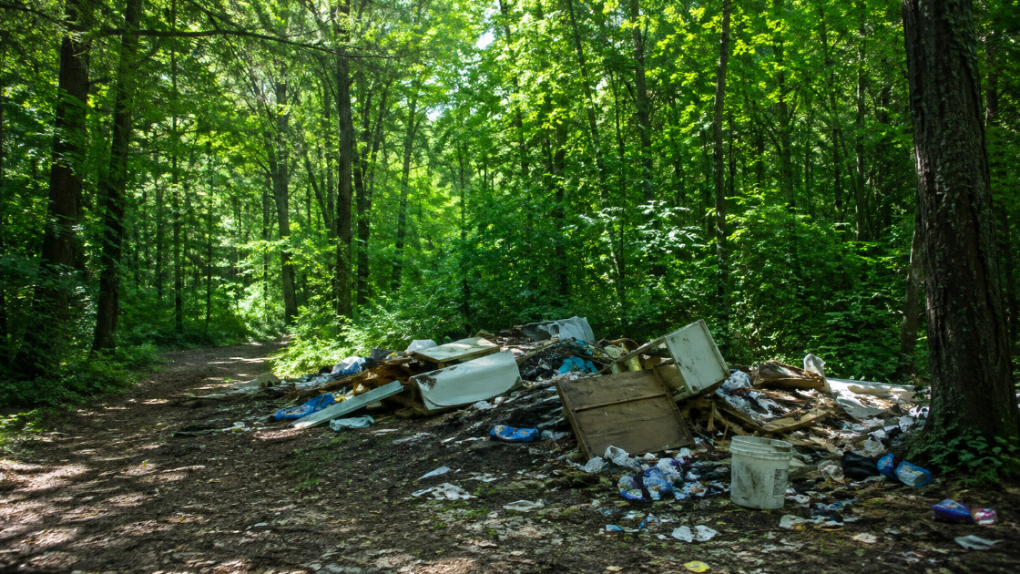 Több ezer illegális hulladéklerakást számoltak fel a magyar erdőkben