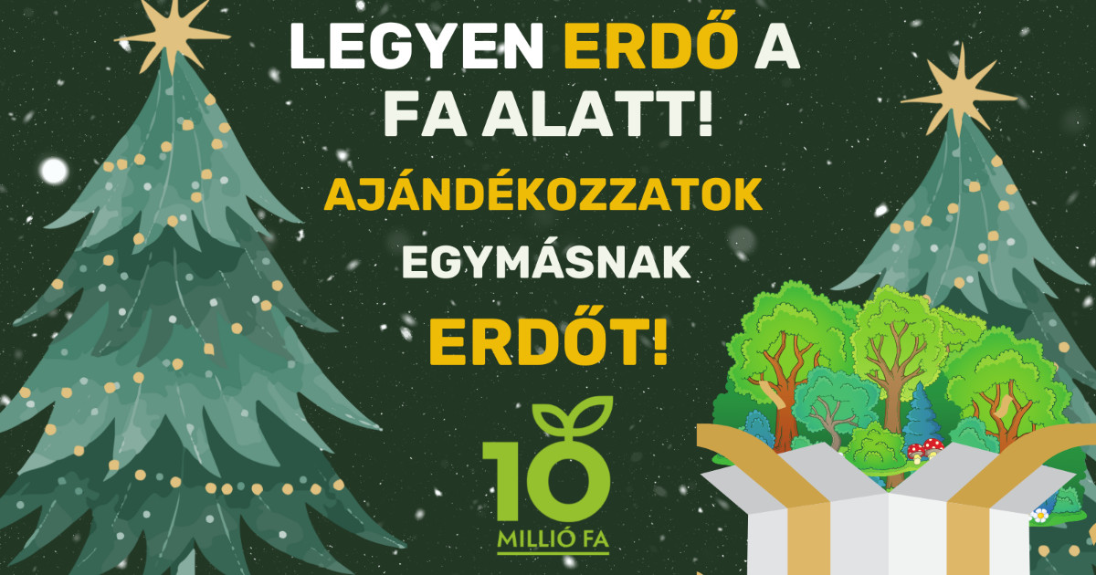 Tárgyak helyett faültetés ajándékba 