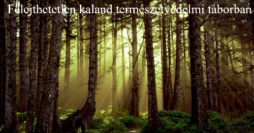 Felejthetetlen kaland természetvédelmi táborban